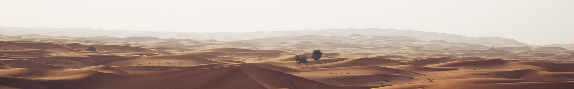 ݾܿƼ޹˾